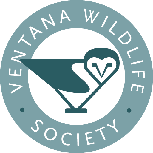 Ventana Wildlife Society Logo