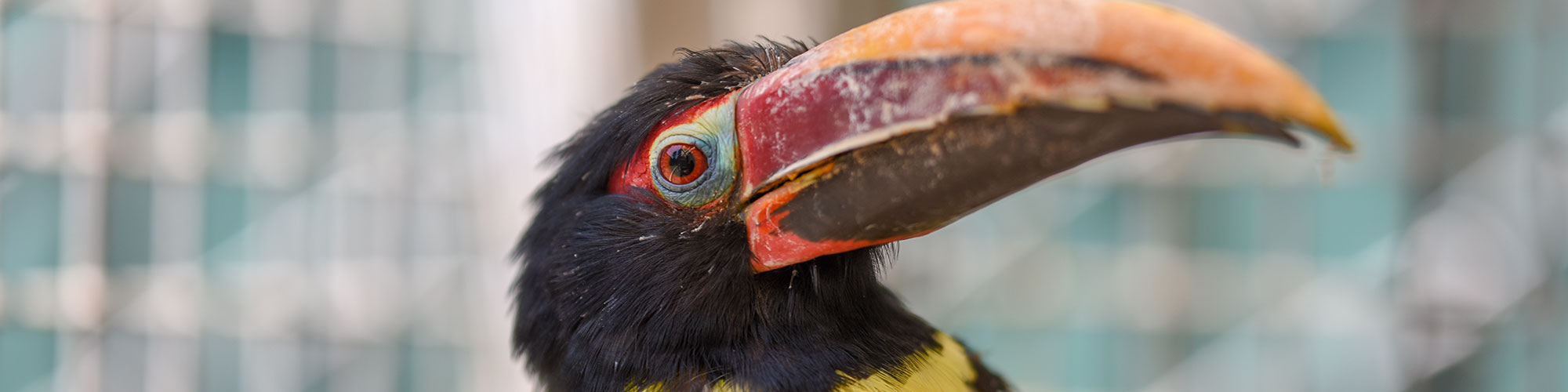About the Charles Paddock Zoo