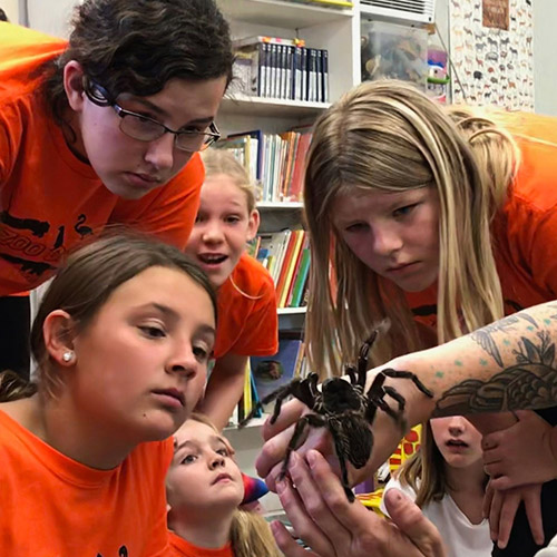 Zoo Camps