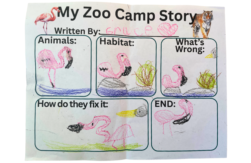 Close up on a "My Zoo Camp Story" sheet with drawings of flamingos by an attendee named Grace.