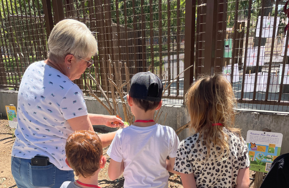 Photo of an adult teaching children about plants and butterflies.