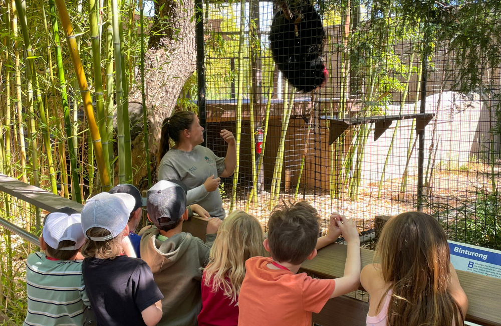Zookeeper talking to children at zoo camp about a Binturong in the exhibit right behind her.