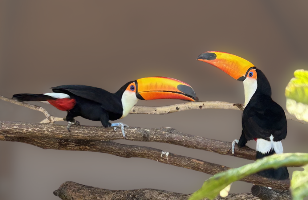 Why do Biodiversity Hotspots Matter?