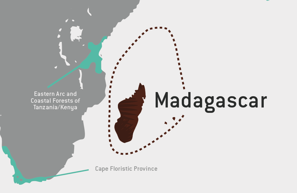 Hotspot Map